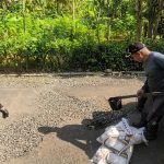 DPUPR Pemalang Gerak Cepat: UPJI Wilayah 1 Tambal Lubang di Jalan Lingkar Watukumpul demi Keselamatan Warga